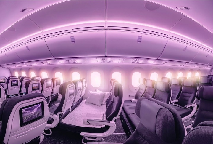 3º) Air New Zealand (Nova Zelândia) - A empresa oferece produtos diferenciados, como o Skycouch, que transforma uma fileira de assentos da Classe Econômica em uma cama.
 Reprodução: Flipar