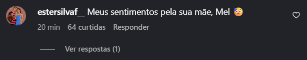 Comentários sobre a morte da mãe de Mel Maia. Foto: Instagram