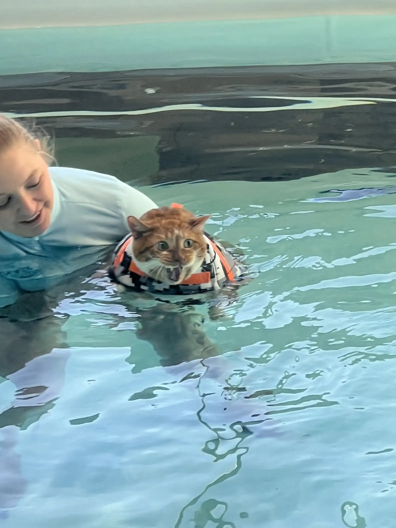 Ty não aprovou a ideia no início, mas já se tornou um nadador experiente  Reprodução/Vanderburgh Humane Society e Canine Aquatic Center