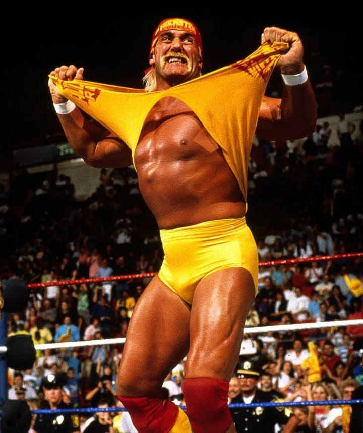 O astro da luta, Hulk Hogan, falecido em julho de 2025, aos 71 anos, deixou sua filha, a cantora Brooke Hogan, fora de seu testamento. Reprodução: Flipar