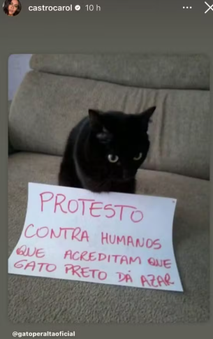 Carol Castro compartilha protesto contra preconceito aos gatos pretos. Foto: Reprodução Instagram