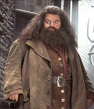 Robbie Coltrane (Hagrid)  - Áries (30 de março/19500 - Morreu em 2022