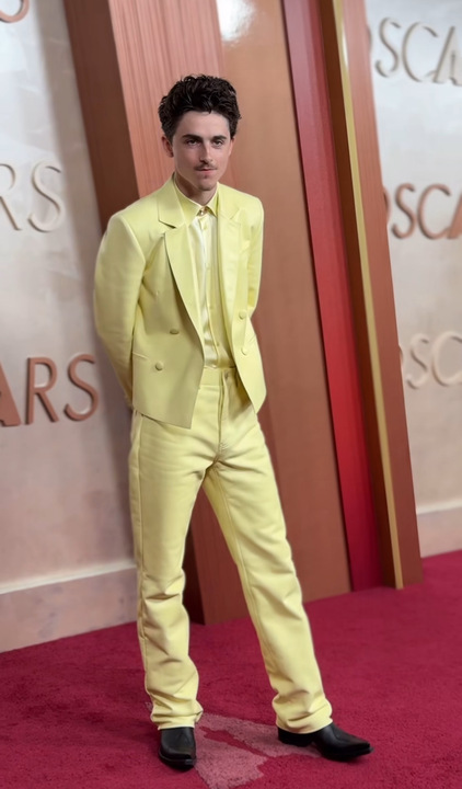 Timothée Chalamet. Foto: Reprodução: Stories do Instagram/@theacademy