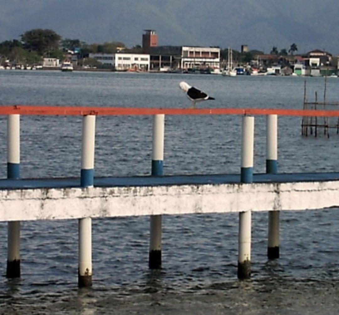 Na maioria das vezes, isso acontece em cidades que são destinos turísticos, como Ilha Comprida, SP (foto), Matinhos (PR), Ilha de Itamaracá (PE), Mangaratiba (RJ) e Saubara (BA).
 Reprodução: Flipar