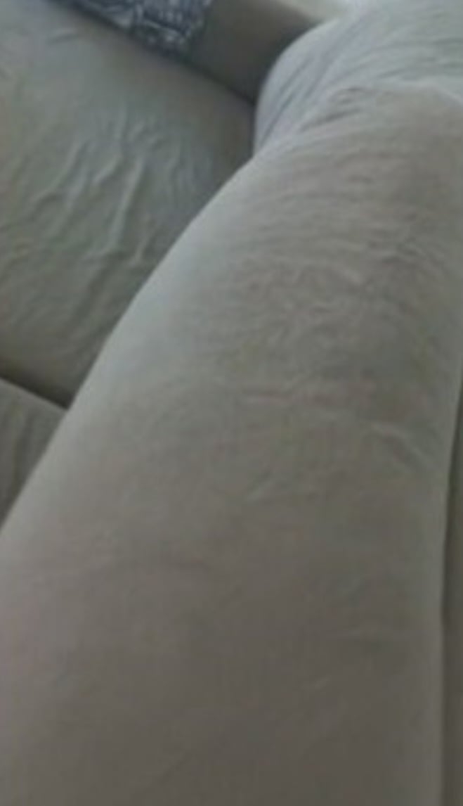 A compradora Heleia Araújo disse que a cachorra não latiu nem deu qualquer sinal. Mas seu marido percebeu ao virar o móvel para passar pela porta.  Reprodução: Flipar