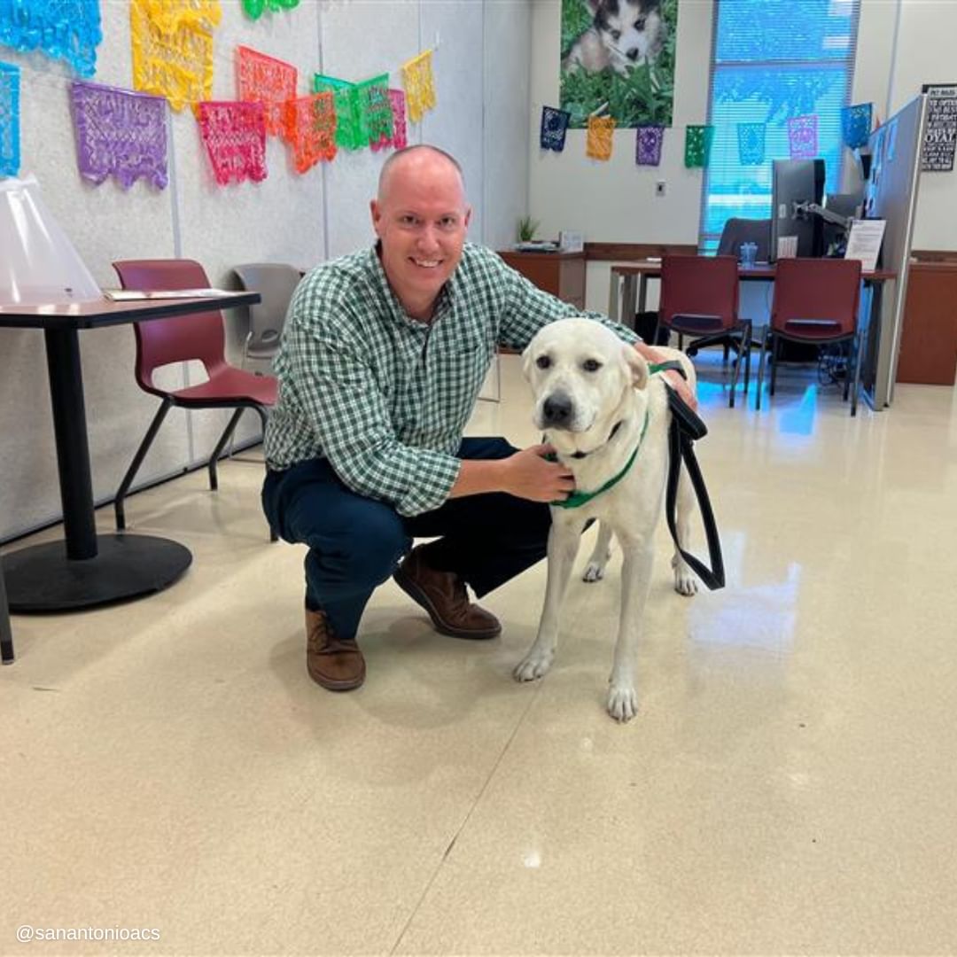 Sr. C, novo tutor de Lucky. Foto: Reprodução/Instagram - 05/04/2023