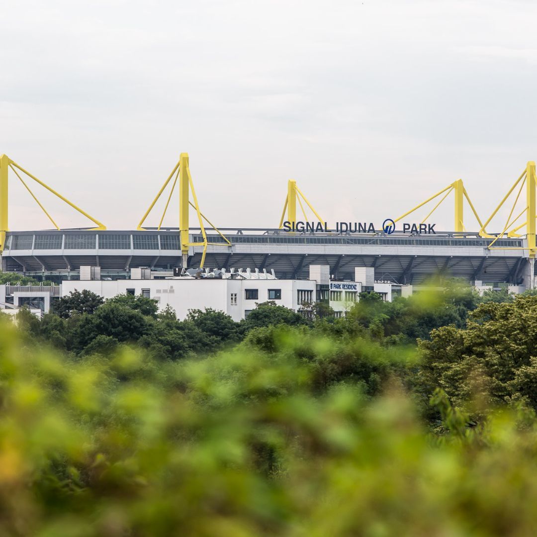 CONFIRMADO! CAIXA Ñ VETOU ESTÁDIO NO GASÔMETRO! EUROPEUS EXALTAM PEDRO!  INGLESES DE OLHO EM ARRAXCA! 