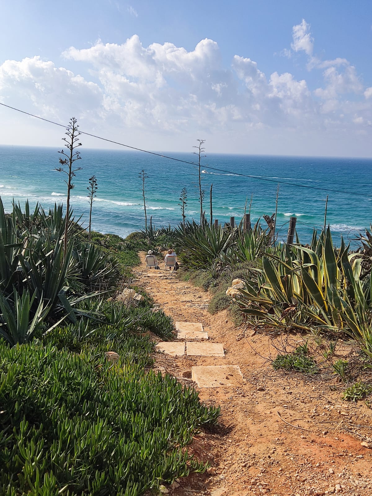 O israelense sabe como poucos utilizar o espaço público Foto: Miriam Sanger