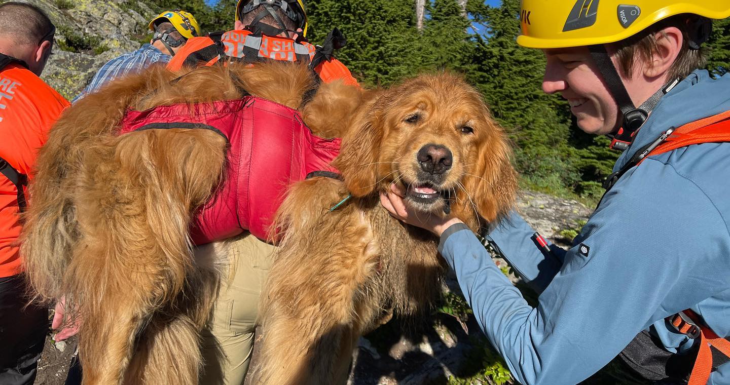 Duke foi levado em uma mochila especial para resgates. Foto: Reprodução/Facebook/North Shore Rescue - 17/08/2022