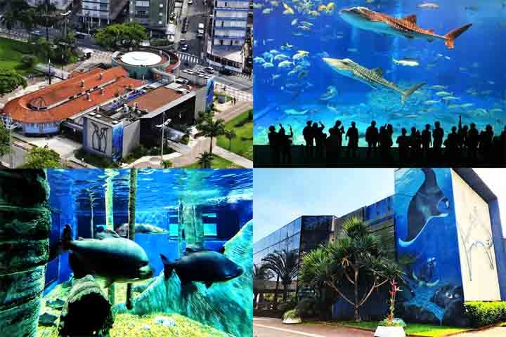 Aquário Municipal - Inaugurado há quase 80 anos, é um dos mais famosos espaços de lazer da cidade. Com 32 tanques, apresenta aos visitantes espécies diversas da vida aquática brasileira.

 Reprodução: Flipar