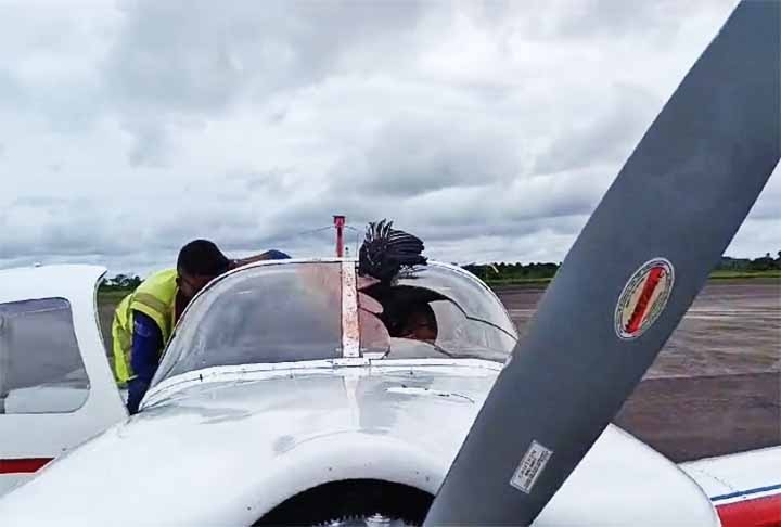 O aeródromo fica perto a um lixão municipal, onde tem resíduos, inclusive hospitalares e abate de animais. Algo que atrai aves de rapina e que buscam carniça, como os urubus.  Reprodução: Flipar