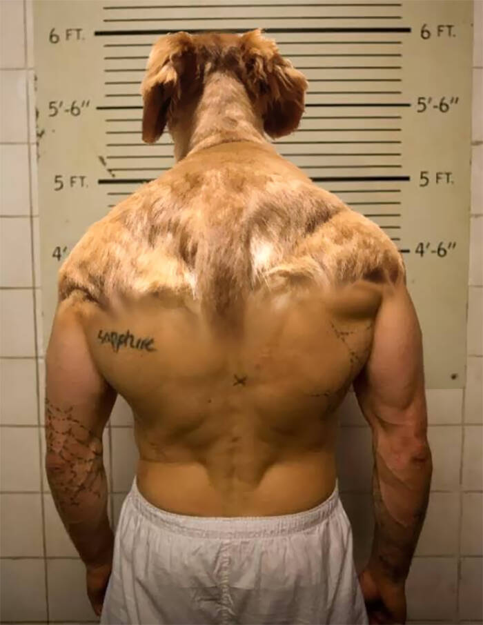 Ilusão de óptica de cão musculoso bomba no twitter e vira meme; veja. Foto: Reprodução/ Twitter