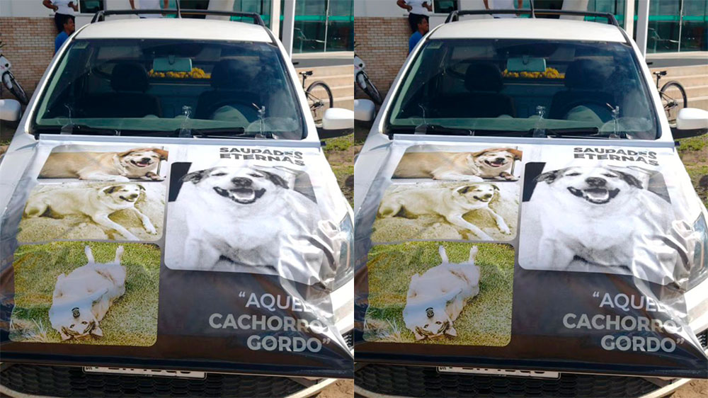 Gordo foi lembrado inclusive em fotos na parte da frente do carro. Foto: Reprodução/Instagram 10.08.2023