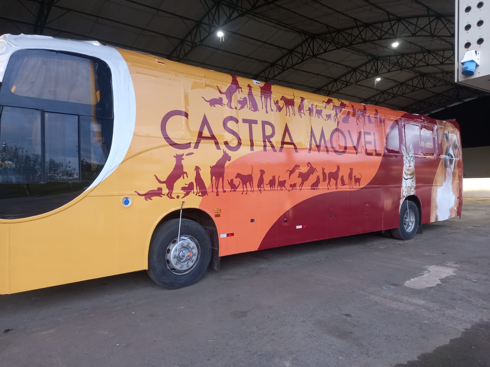 O ônibus "Castra Móvel" é totalmente equipado para realizar os atendimentos. Foto: Divulgação