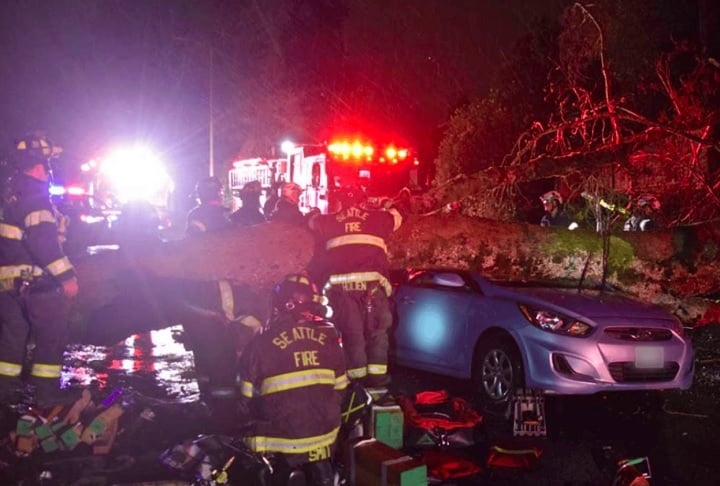 “Árvores estão caindo por toda a cidade e atingindo casas [...] Se possível, vá para o andar mais baixo da casa e fique longe das janelas. Não saia de casa, se puder evitar”, declarou o Corpo de Bombeiros. Reprodução: Flipar