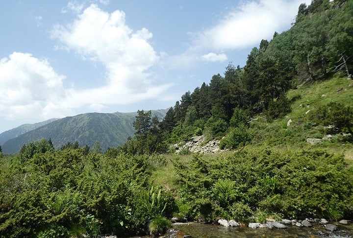 A vegetação predominante é a mediterrânea, ocupando dois quintos do território. As espécies variam conforme a altitude: azinheiras e carvalhos no nível mais baixo, pinheiros no médio Reprodução: Flipar