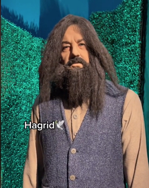 O ator Robbie Coltrane, que morreu em 2022, até gostaria de ver essa versão do seu popular personagem Hagrid, da saga de Harry Potter. Afinal, tá mais em forma... Mas não lembra nada, né?  Reprodução: Flipar