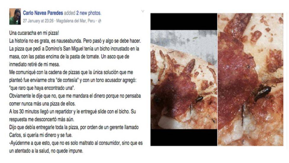 Consumidor achou uma barata em pizza e causa comoção na rede Domino's no Peru. Foto: Reprodução/BBC Brasil