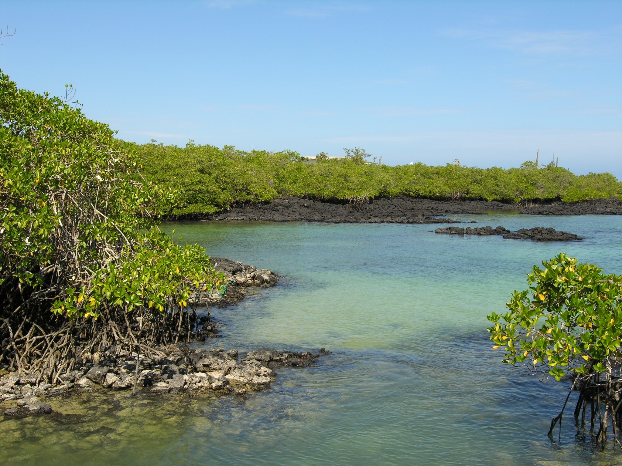Ilha do Arquipélago de Galápagos. Foto: Divulgação / Unesco