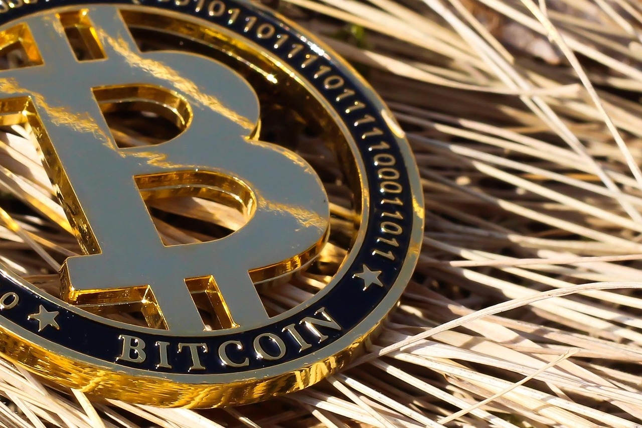 Por decisão da Assembleia Legislativa controlada pelo partido governista, o uso ficou restrito a transações entre cidadãos e empresas privadas. Além disso, não há mais obrigatoriedade de se aceitar a criptomoeda.
 Reprodução: Flipar