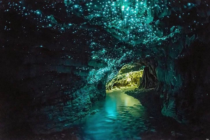 Waitomo Glowworm (Nova Zelândia) - Essa caverna atrai visitantes há mais de 120 anos. Foi descoberta por indígenas sob o campo de King Country, uma das principais regiões agrícolas do país.    Reprodução: Flipar