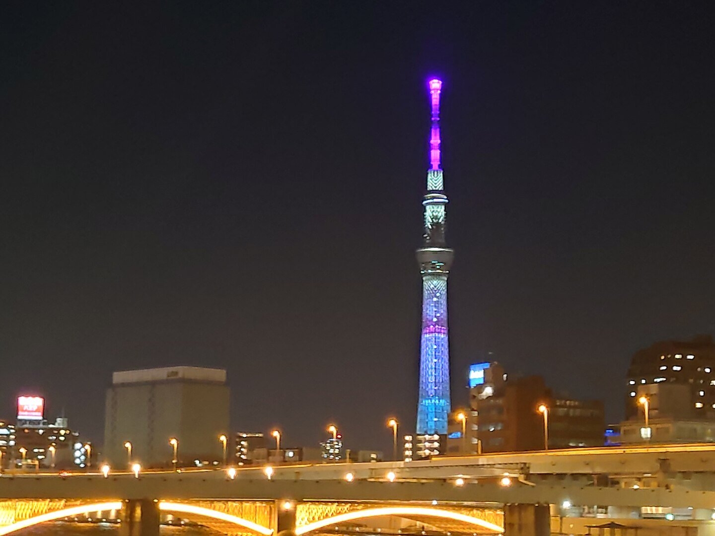 Maior torre de telecomunicação do mundo, a Tokyo Skytree foi projetada para substituir a Tokyo Tower, primeira torre de TV do país. Ela é feita com estrutura de aço e tem um formato que traz resistência contra abalos sísmicos. Os visitantes contam com lojas e com 2 observatórios. E, à noite, a iluminação da torre é um espetáculo à parte.  Reprodução: Flipar