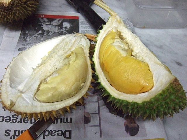 Curiosamente, é descrita como uma fruta que, a despeito do fedor, é saborosa e suculenta.  Reprodução: Flipar
