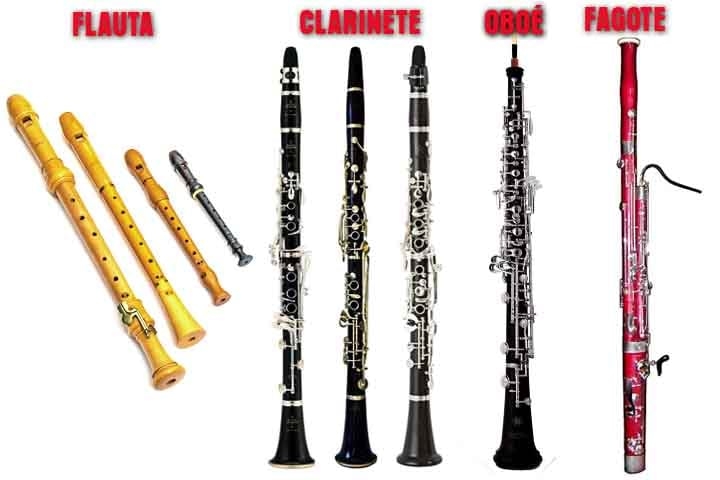 A família das madeiras abrange flauta, oboé, clarinete e fagote.  Reprodução: Flipar
