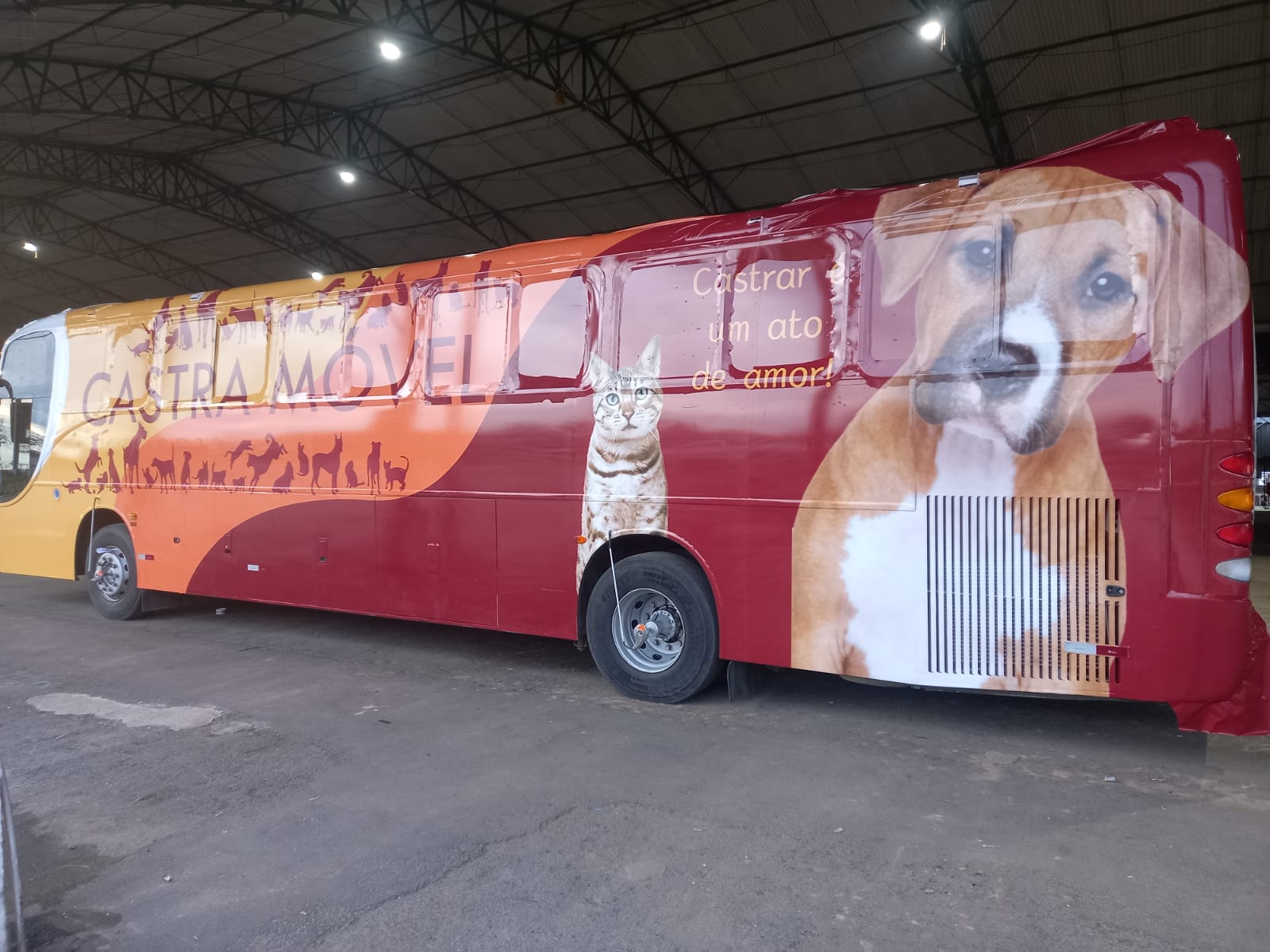 O ônibus "Castra Móvel" é totalmente equipado para realizar os atendimentos. Foto: Divulgação