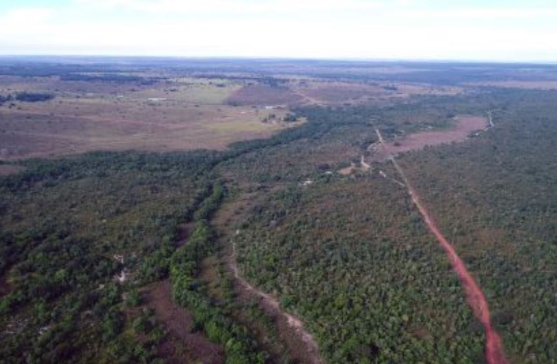 O parque do Pombo é cercado pelo Rio Pombo e Córrego Tapera, tem mais de 8 mil hectares de área preservada e é habitado por 127 espécies de aves e 50 espécies entre anfíbios, répteis e mamíferos.  Reprodução: Flipar