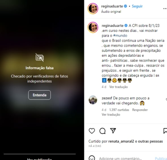 Neste post, por exemplo, o tema também tinha sido os atos antidemocráticos em Brasília. Regina postou mensagem que o Instagram alertou como falsa.  