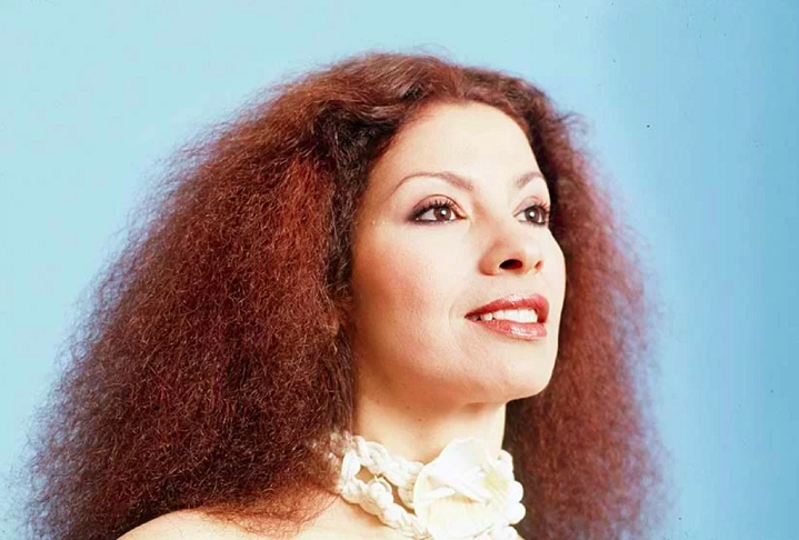 A cantora e sambista Clara Nunes, em especial, foi uma das maiores defensoras e divulgadoras da Portela. Reprodução: Flipar