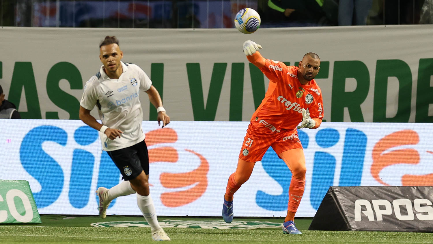 (Foto: Cesar Greco/Palmeiras) Palmeiras x Grêmio (Foto: Cesar Greco/Palmeiras)