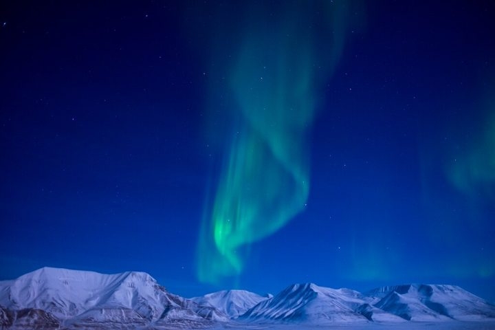 Depois, Svalbard se tornou um destino popular para observação da aurora boreal e da fauna, flora e funga (fungos) únicas do Ártico. Reprodução: Flipar
