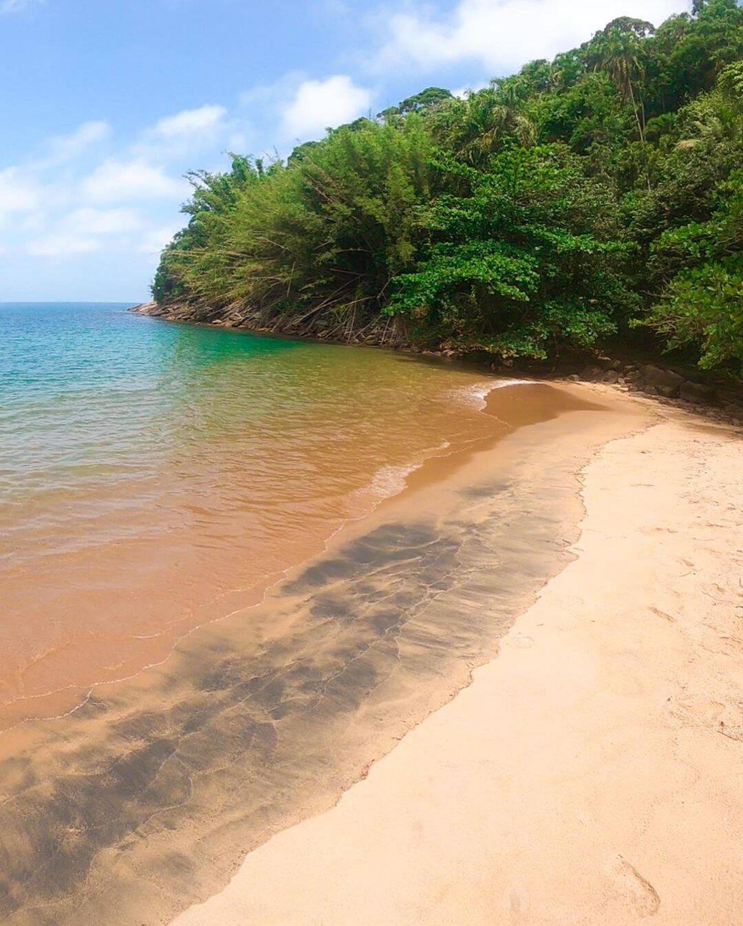 “Um pequeno paraíso verde, águas calmas e quentes", diz Felipe Abílio sobre a Praia do Leste. Foto: Reprodução/Instagram