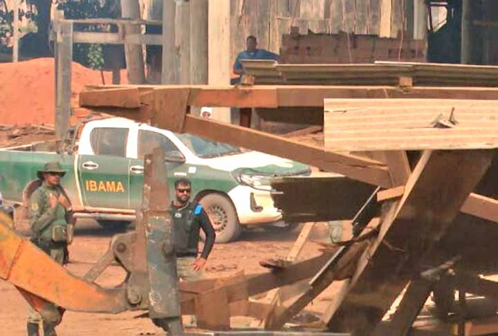 Apuração do Ibama identificou 11 madeireiras instaladas sem licença no distrito de Santo Antônio do Matupi, no município de Manicoré.