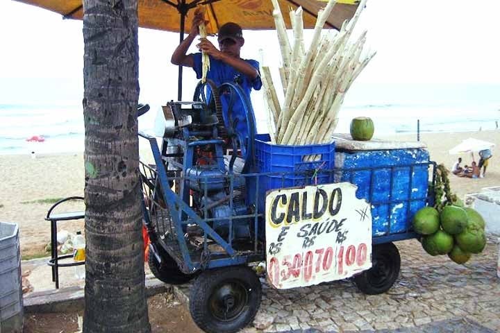 Na sequência, o perfilhamento é o processo de emissão de colmos por uma mesma planta, que resulta no crescimento de brotos que vão em direção à superfície do solo. Quando os colmos crescem, o canavial pode atingir altura acima de três metros. Reprodução: Flipar