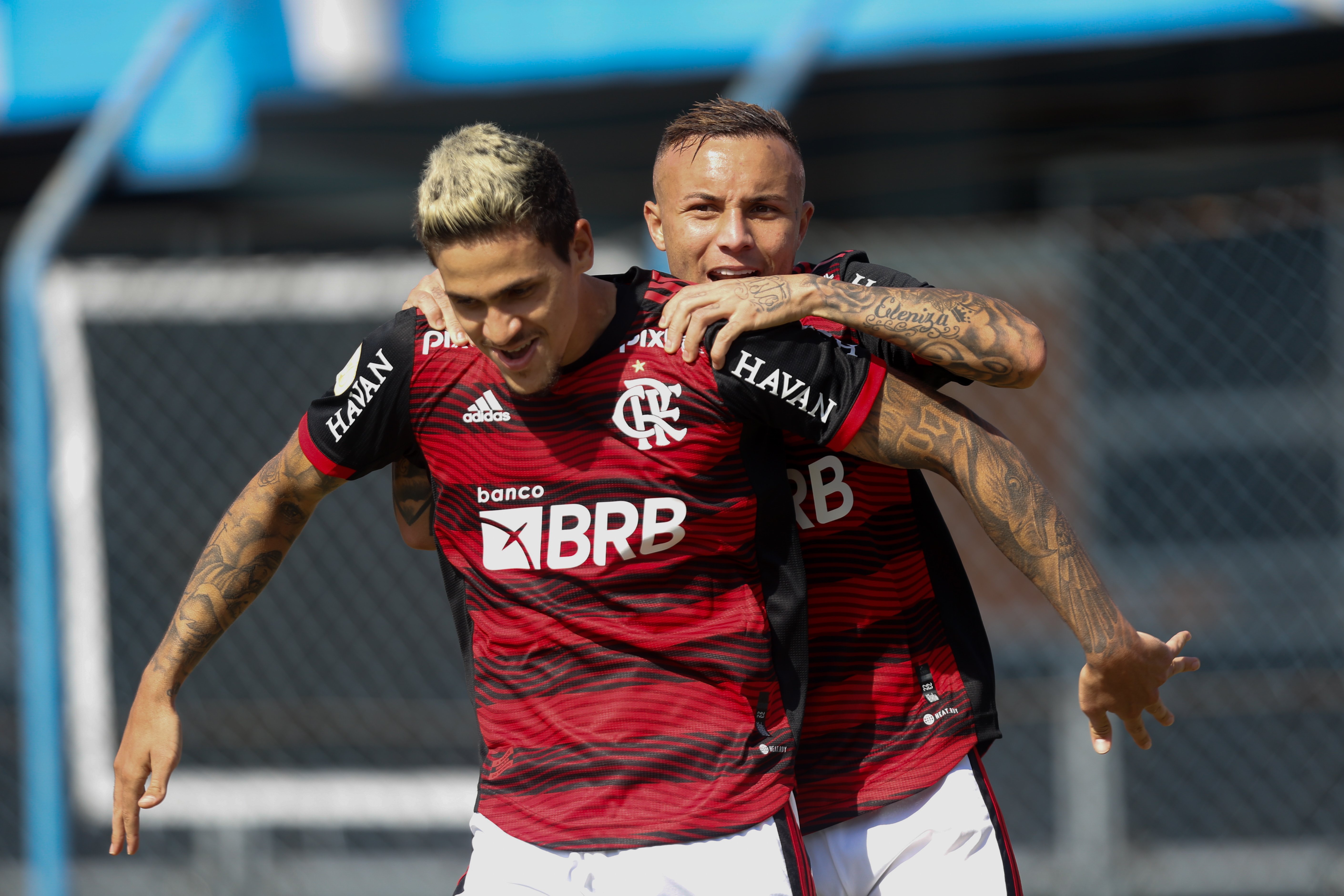 Flamengo. Foto: Divulgação
