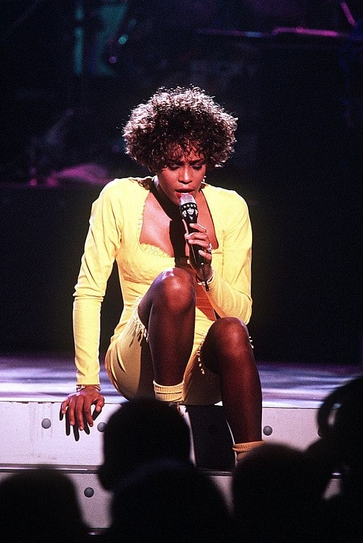 Conhecida como “The Voice” (“A Voz”),Whitney Houston nasceu em Nova Jersey, nos Estados Unidos, e teve uma vida marcada por diversas polêmicas e controvérsias. Confira algumas! Reprodução: Flipar