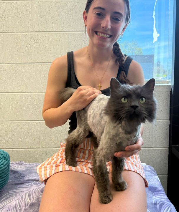 Buddy, também conhecido como Snack Wrap. Foto: Reprodução: Facebook/lenaweehumanesociety