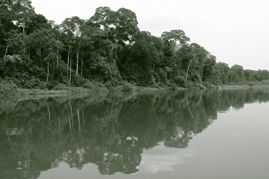 A Amazônia peruana é lar de várias espécies endêmicas de plantas e animais, além de ter uma culinária bastante única. Foto: Reprodução/Flickr