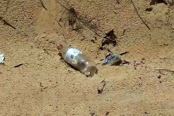 Garrafas de bebidas e produtos de limpeza originários de países como China, Malásia, Coreia do Sul e Singapura foram os entulhos mais comuns encontrados na praia. 
 Reprodução: Flipar