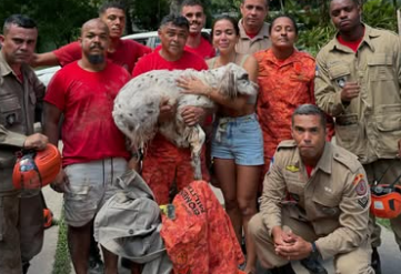 Anitta com corpo de bombeiros após resgatar cachorro Reprodução Instagram - 26.12.2024