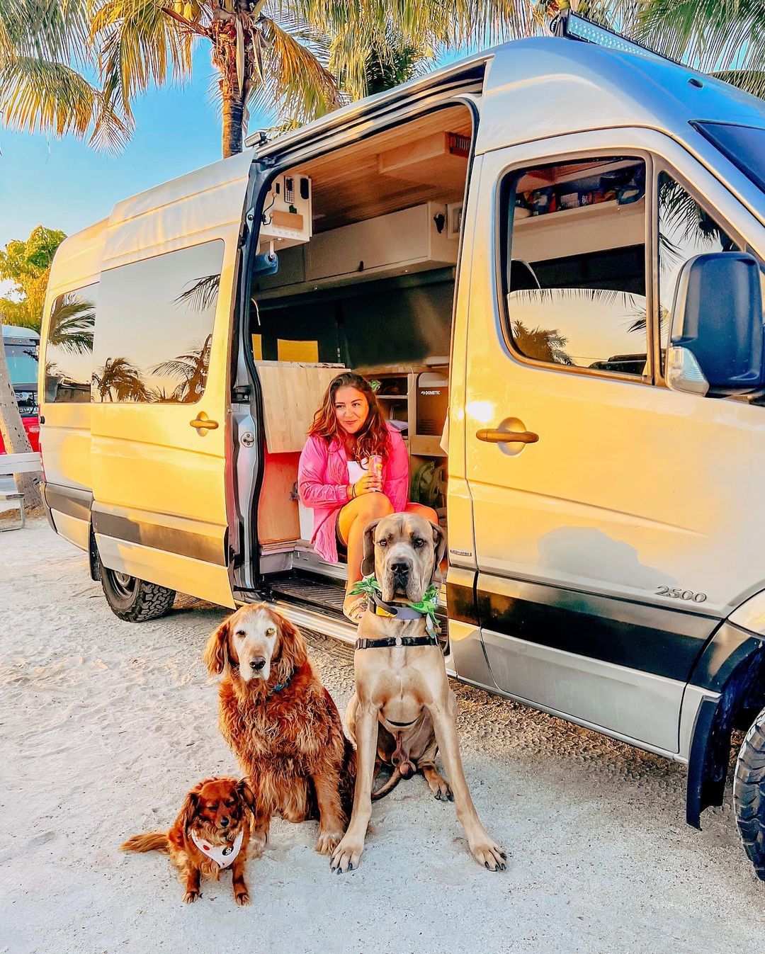Melanie com os cães em uma van.. Foto: Reprodução/Instagram 31.01.2023