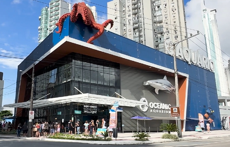 Oceanic Aquarium (SC): Localizado em Balneário Camboriú, esse aquário foi inaugurado em 2021 e conta com uma área de 16.000 m². Além de um segmento inteiro dedicado aos pinguins, o lugar também possui um tanque dedicado à vida marinha do litoral catarinense. Reprodução: Flipar