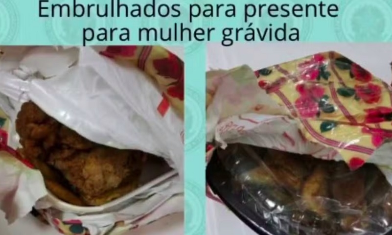 Frango e peixe fritos: Em 2021, uma carga que vinha do Haiti foi interceptada pela Vigiagro contendo peixe, farinha e folhas secas, algumas com mofo. Segundo o passageiro, a intenção era presentear a esposa grávida... Reprodução: Flipar