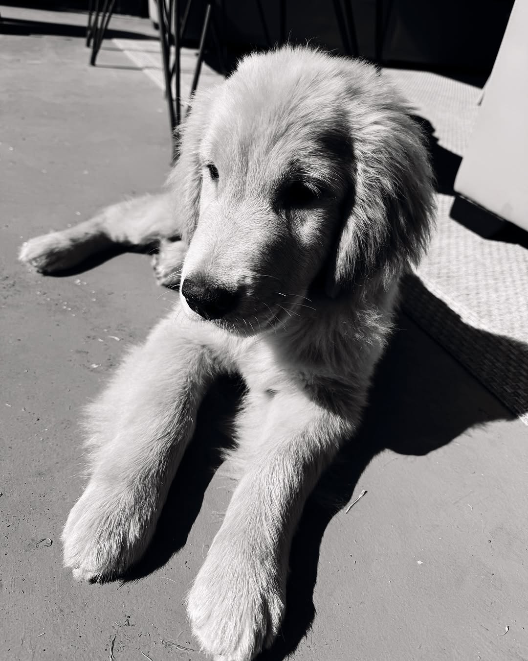 Sabrina Sato posa em cliques ousados com Nicolas Prattes. Foto: Instagram