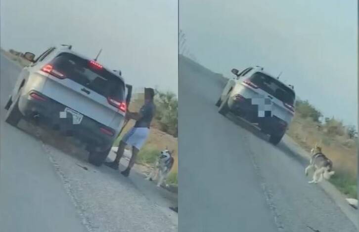 Homem é flagrado abandonando cachorro em estrada deserta, no Texas. Foto: Reprodução/Facebook