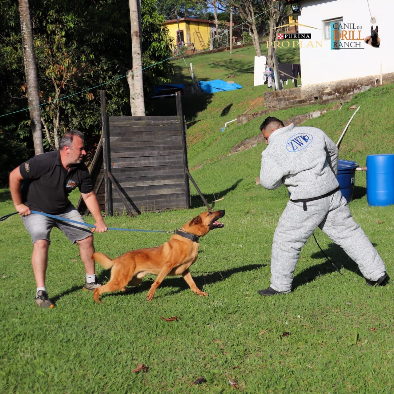 O adestrador André Almeida participa de sessão de treinamento de cães policiais. Foto: Reprodução/Du Drill Ranch