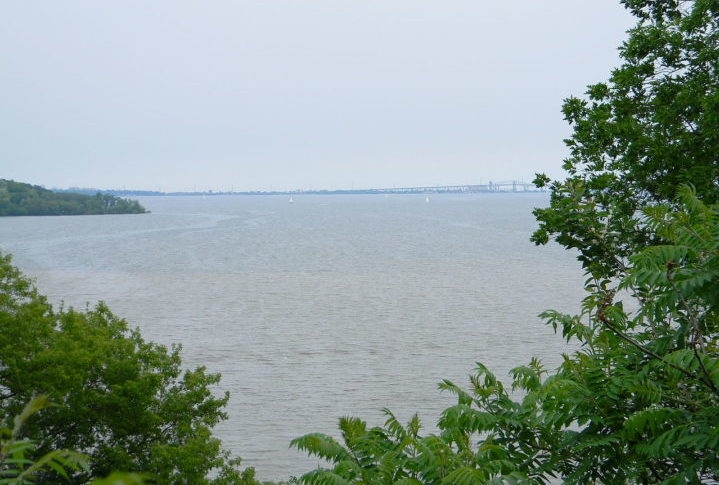 A pesquisadora e seus colegas têm monitorado carpas douradas invasoras no Porto de Hamilton, localizado na ponta oeste do Lago Ontário, região próxima de Toronto. O Lago Ontário foi duramente afetado pelo crescimento industrial e urbano, além de ser impactado por espécies invasoras. Reprodução: Flipar